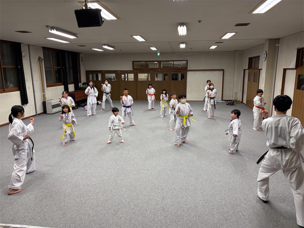 f:id:seishinkan_dojo:20260428223325j:image