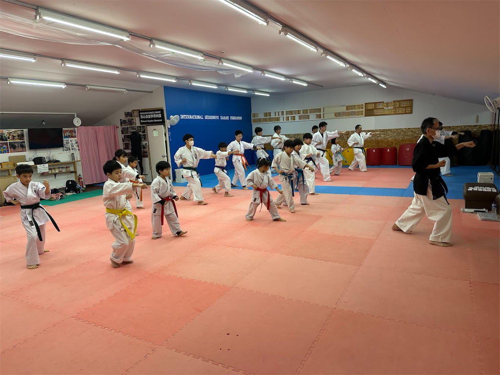 f:id:seishinkan_dojo:20260511142002j:image