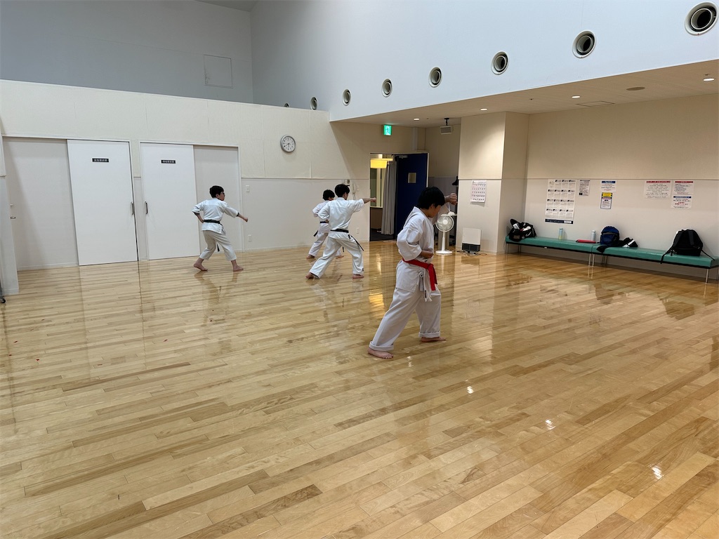 f:id:seishinkan_dojo:20260528143409j:image