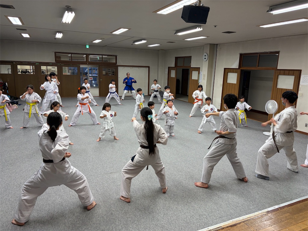 f:id:seishinkan_dojo:20260603122815j:image