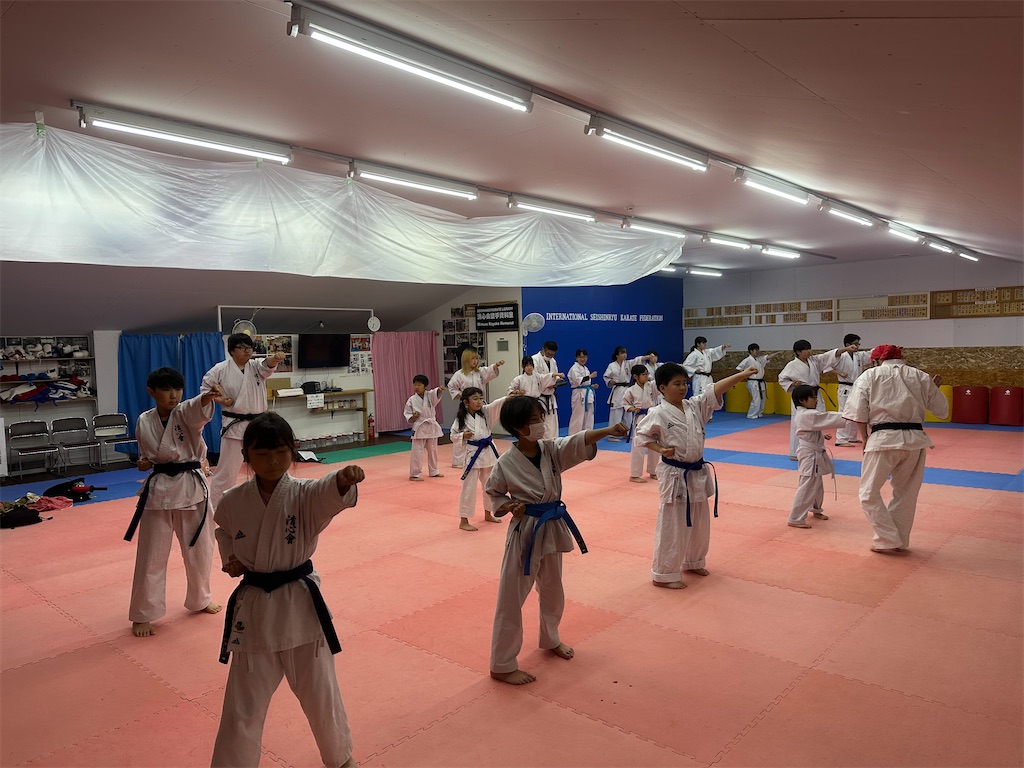 f:id:seishinkan_dojo:20260609123111j:image