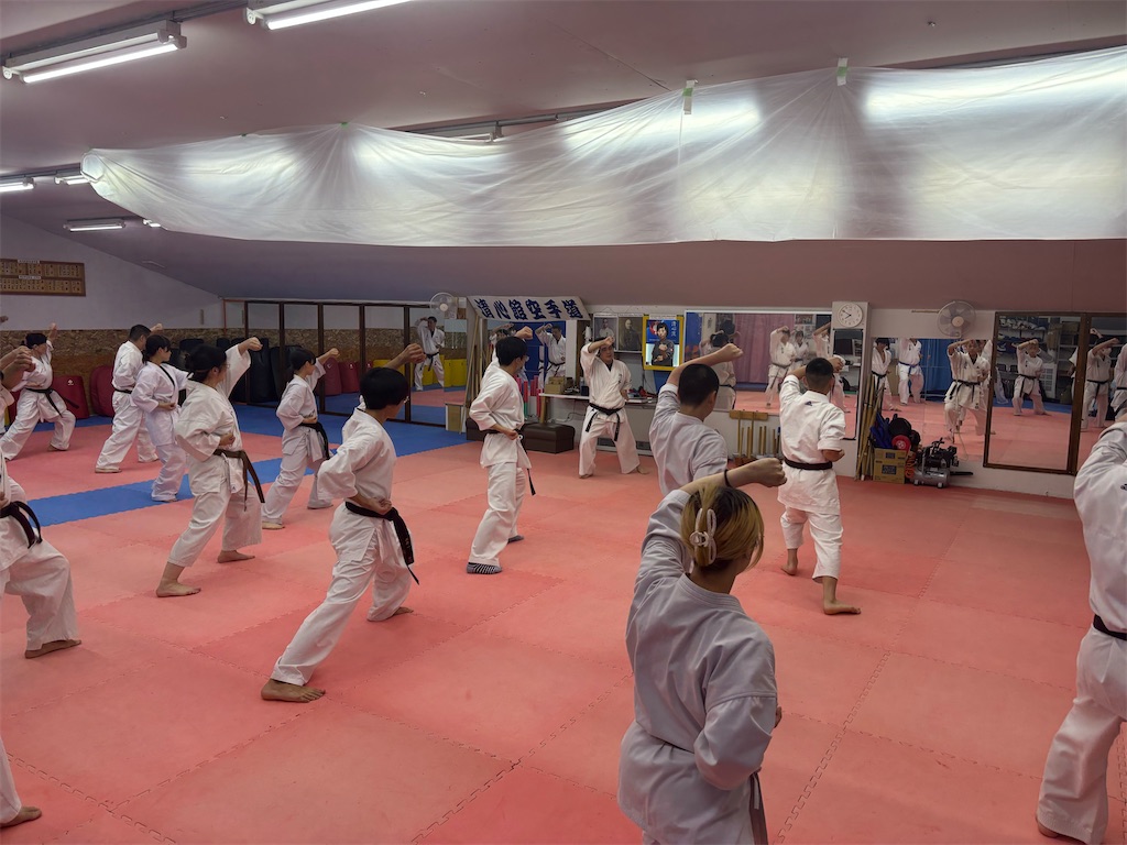 f:id:seishinkan_dojo:20260610213511j:image
