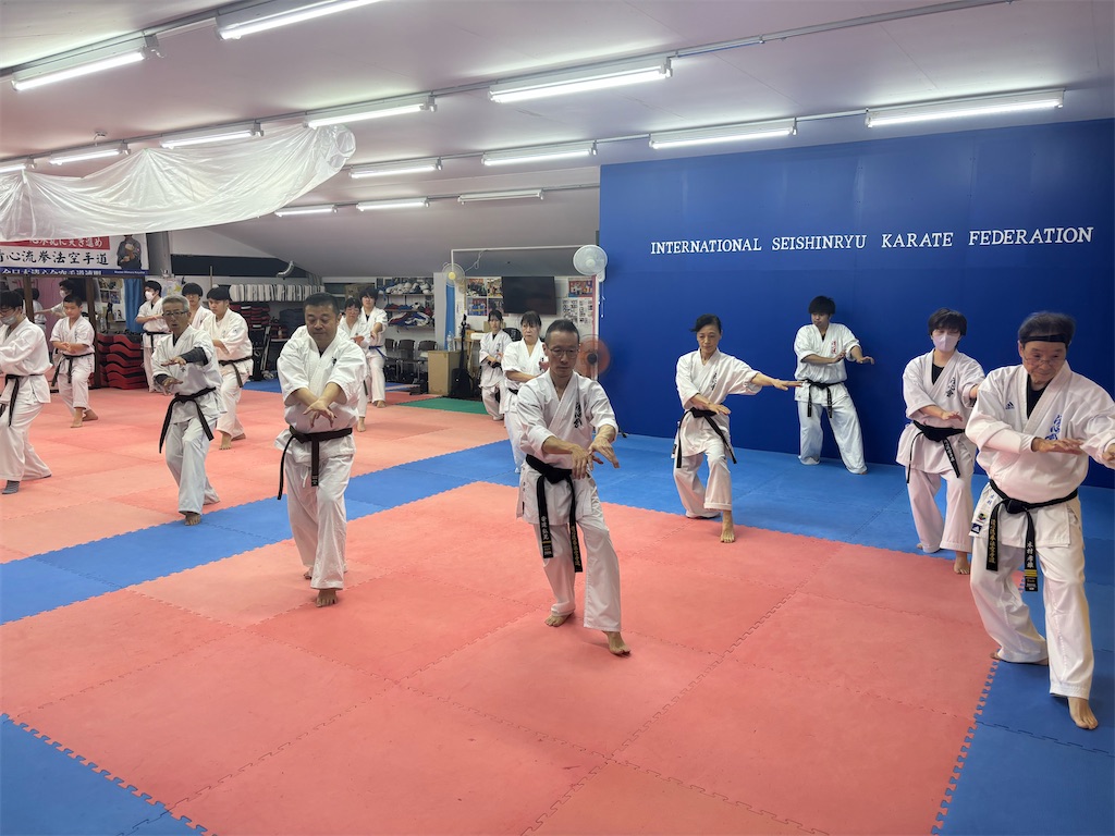 f:id:seishinkan_dojo:20260610213514j:image