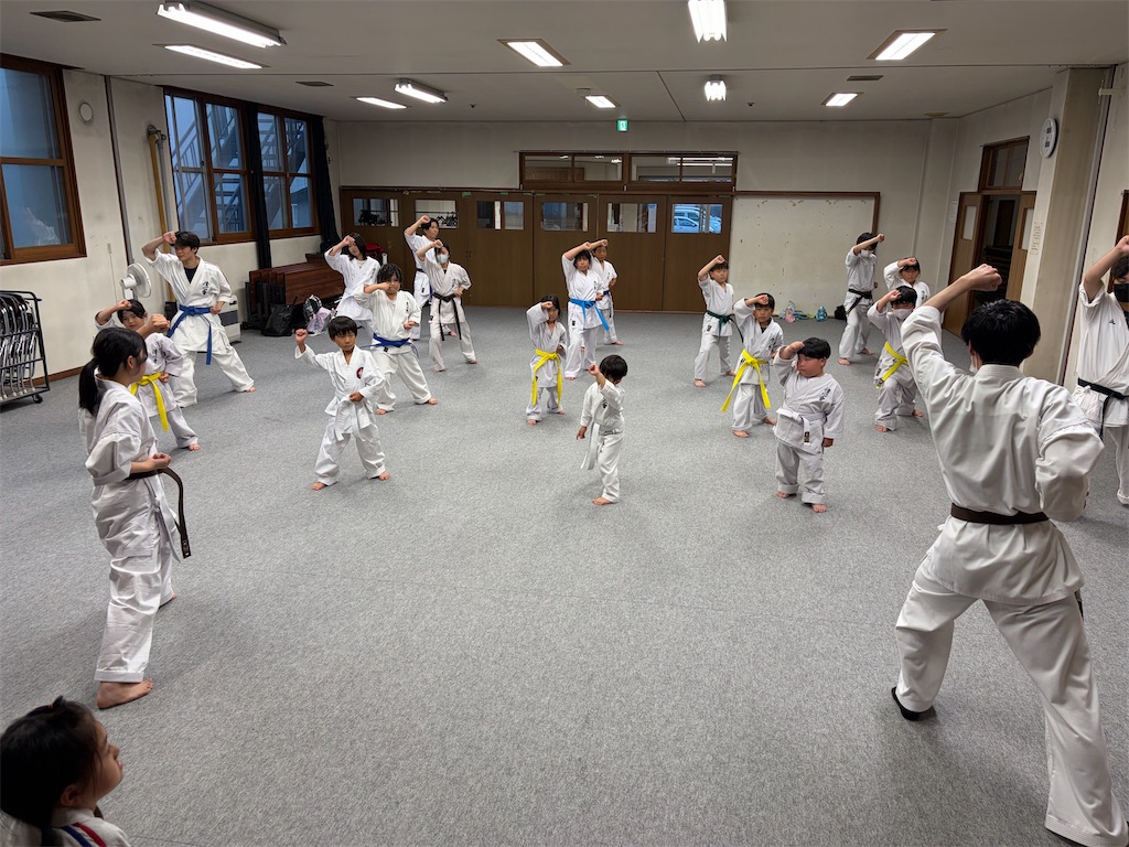 f:id:seishinkan_dojo:20260722211105j:image