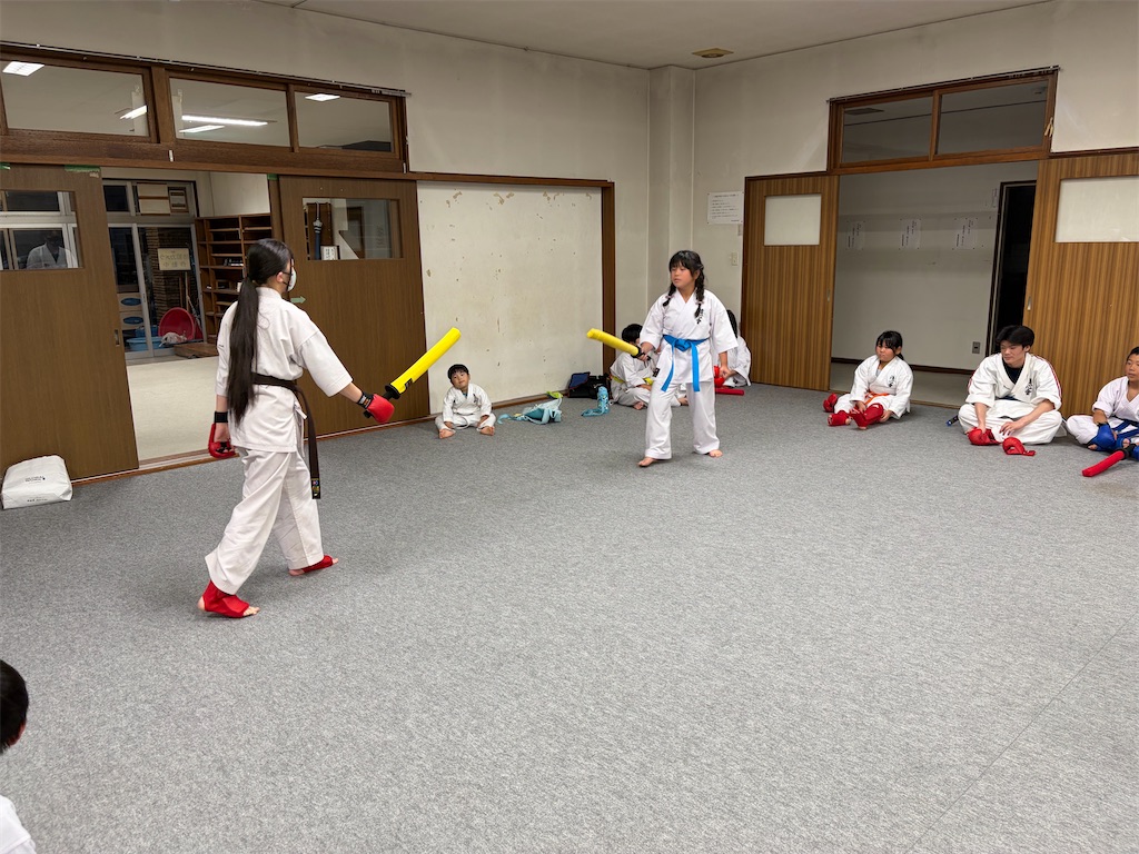 f:id:seishinkan_dojo:20260722211108j:image