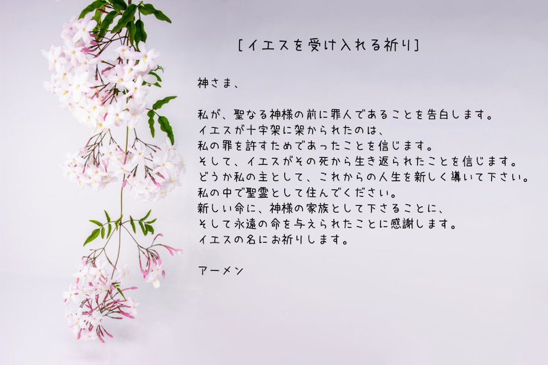 f:id:seishonoarukurashi:20201216122008j:plain