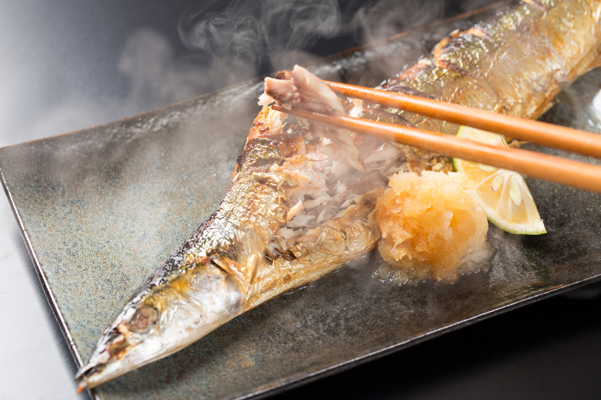 サンマ高騰なら 冷凍 を狙う 秋の味覚の 美味しい 食べ方 青春オンライン サンマ高騰なら 冷凍 を狙う 秋の味覚の 美味しい 食べ方 青春オンライン