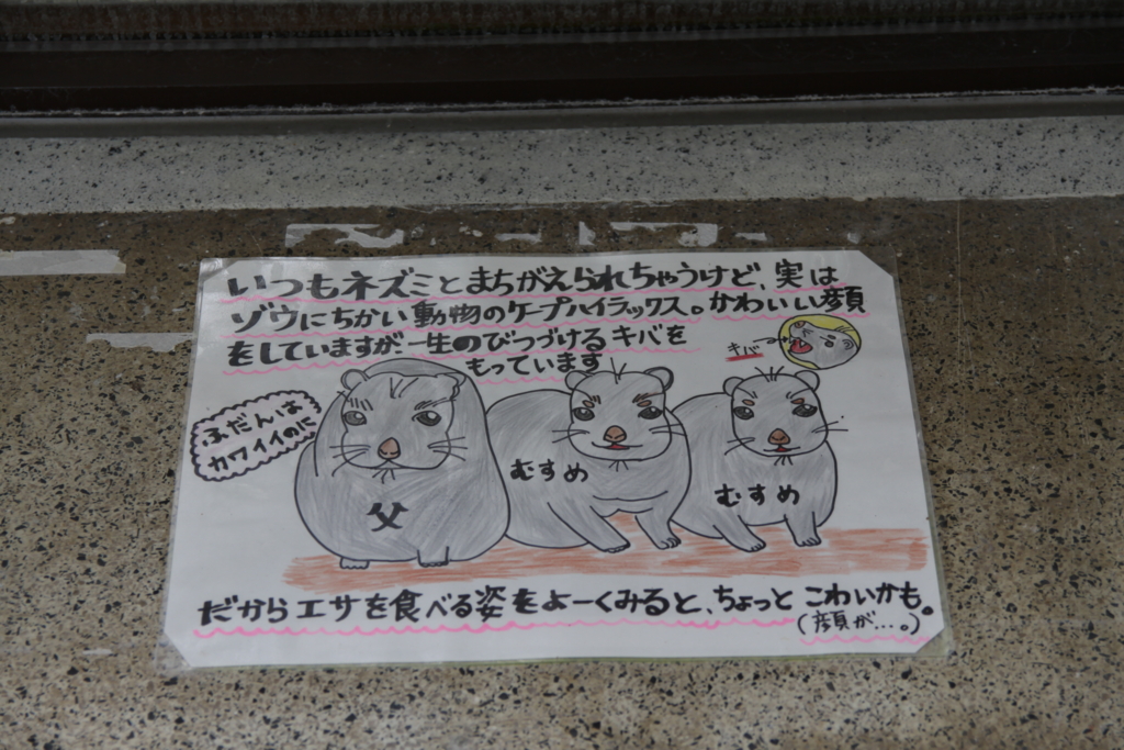 f:id:seisyunsanka:20160721222218j:plain