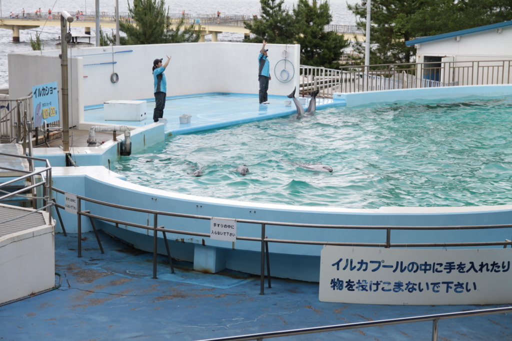 f:id:seisyunsanka:20180623185929j:plain f:id:seisyunsanka:20180623185929j:plain