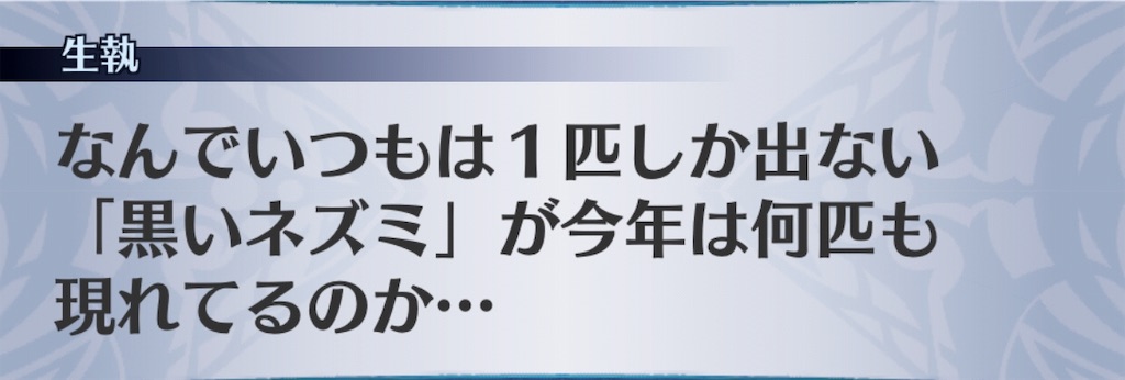 f:id:seisyuu:20181221021930j:plain