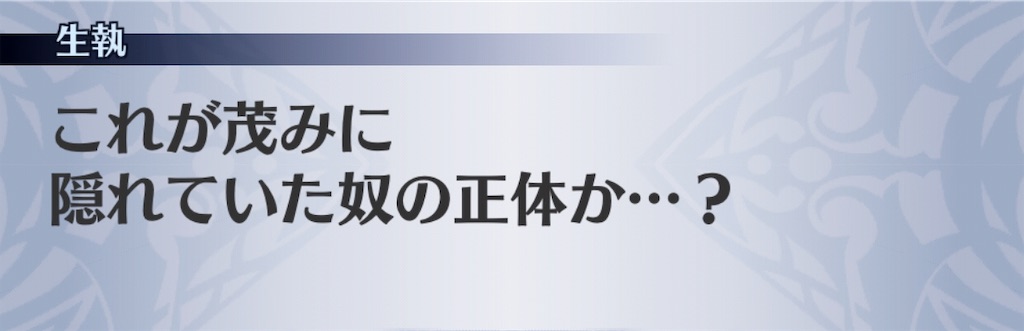f:id:seisyuu:20190101173551j:plain
