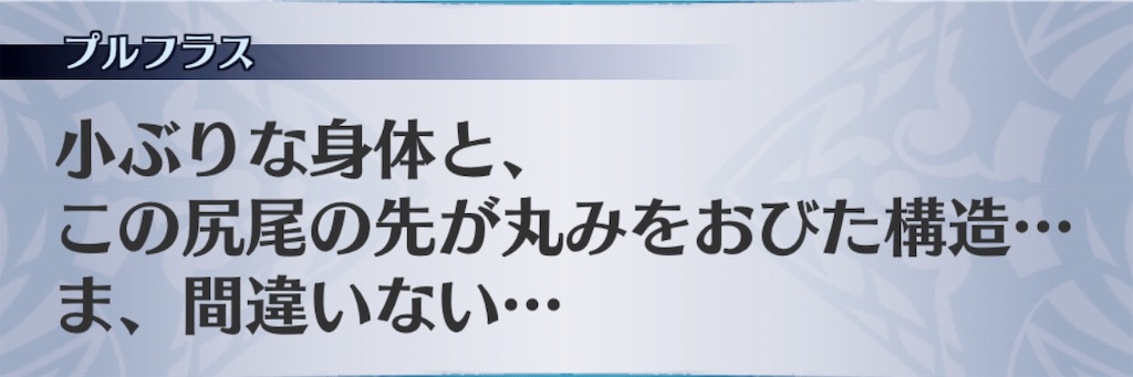 f:id:seisyuu:20190119162922j:plain