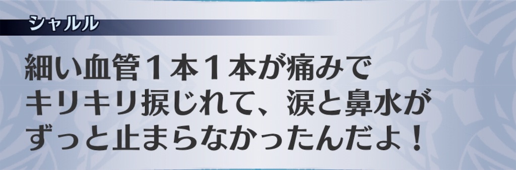 f:id:seisyuu:20190502024217j:plain