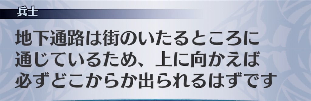 f:id:seisyuu:20190520125949j:plain