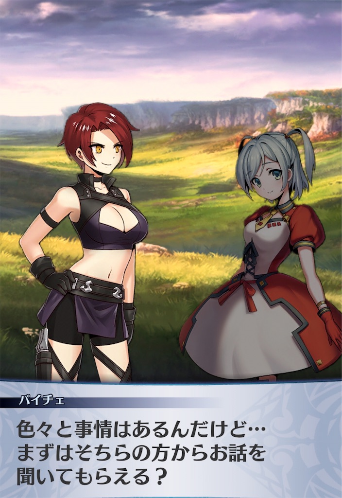 f:id:seisyuu:20190607000646j:plain