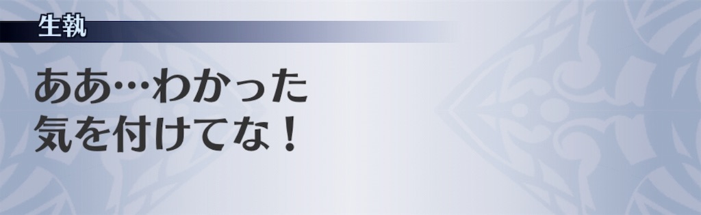 f:id:seisyuu:20190611025031j:plain