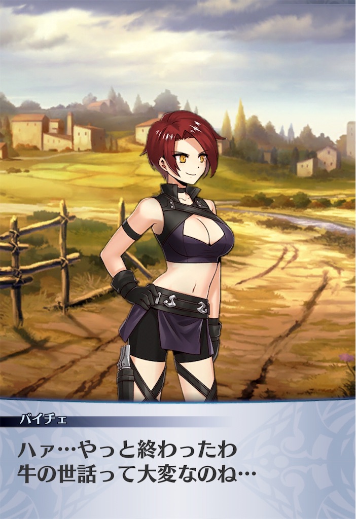 f:id:seisyuu:20190613223513j:plain