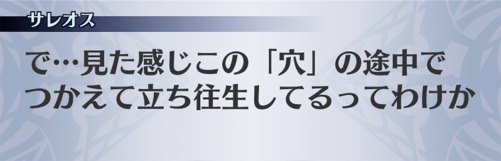 f:id:seisyuu:20200107170733j:plain