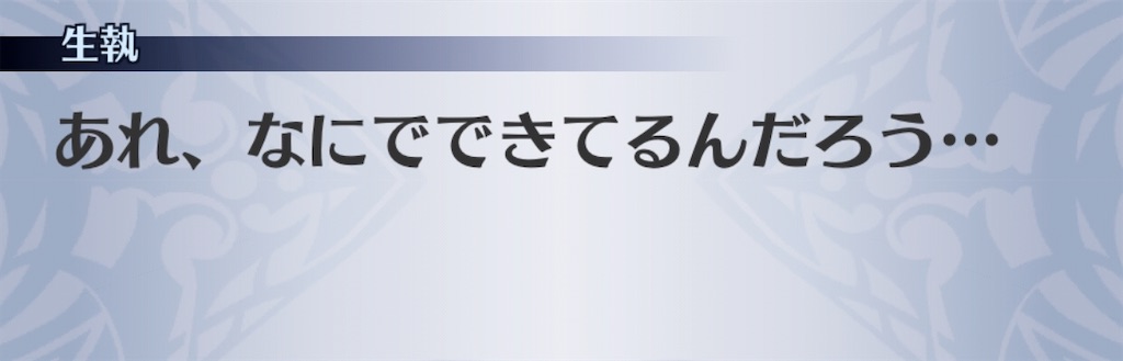 f:id:seisyuu:20200131204205j:plain