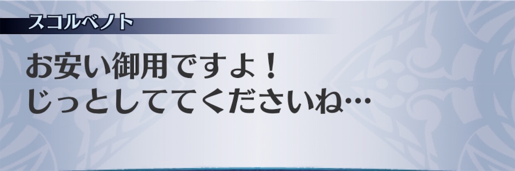 f:id:seisyuu:20200204194132j:plain