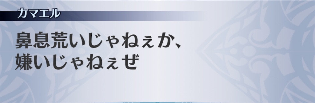 f:id:seisyuu:20200227210606j:plain