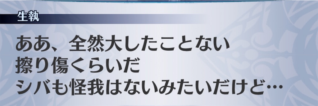 f:id:seisyuu:20200323192139j:plain