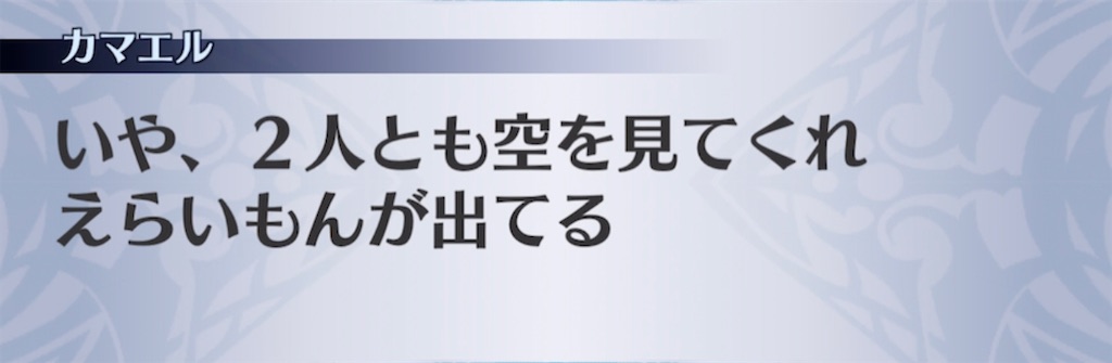 f:id:seisyuu:20210228140527j:plain