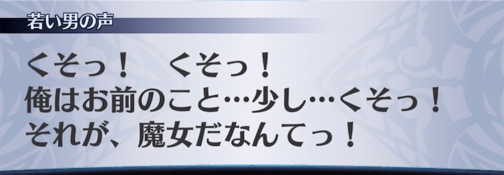 f:id:seisyuu:20210405215840j:plain