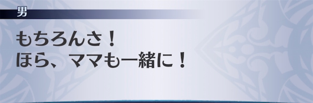 f:id:seisyuu:20210421203826j:plain