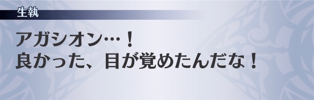 f:id:seisyuu:20210524214859j:plain