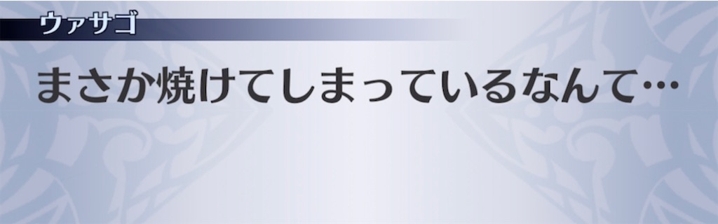 f:id:seisyuu:20210602100024j:plain