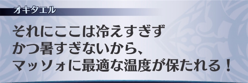 f:id:seisyuu:20211104044105j:plain