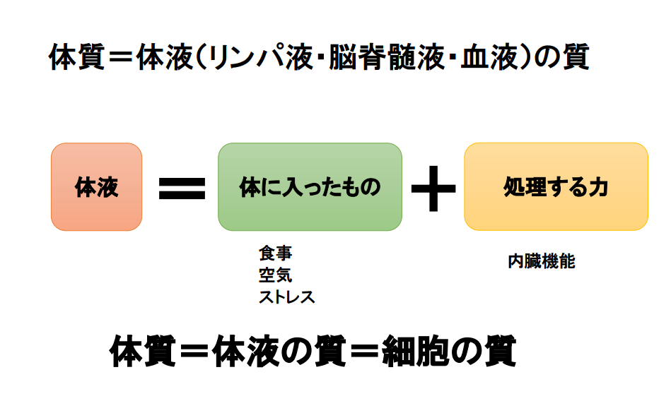 f:id:seitai-oura:20190105163445p:plain f:id:seitai-oura:20190105163445p:plain