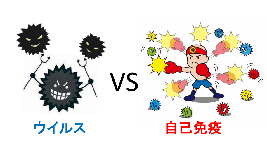 f:id:seitai-oura:20200328161253p:plain f:id:seitai-oura:20200328161253p:plain