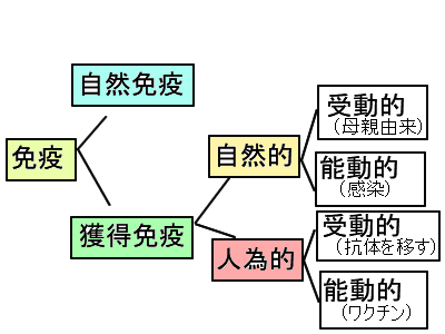 f:id:seitaimasuda:20200421135911p:plain f:id:seitaimasuda:20200421135911p:plain