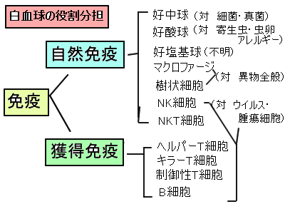 f:id:seitaimasuda:20200421140050p:plain f:id:seitaimasuda:20200421140050p:plain