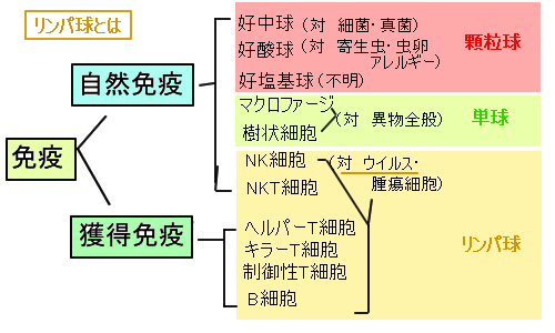 f:id:seitaimasuda:20200421142015p:plain f:id:seitaimasuda:20200421142015p:plain