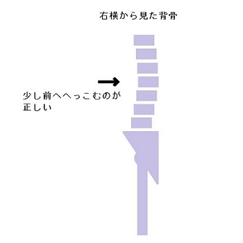 f:id:seitaiugm:20200502112829j:plain f:id:seitaiugm:20200502112829j:plain