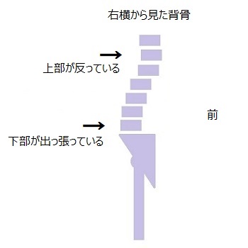 f:id:seitaiugm:20200503162604j:plain f:id:seitaiugm:20200503162604j:plain