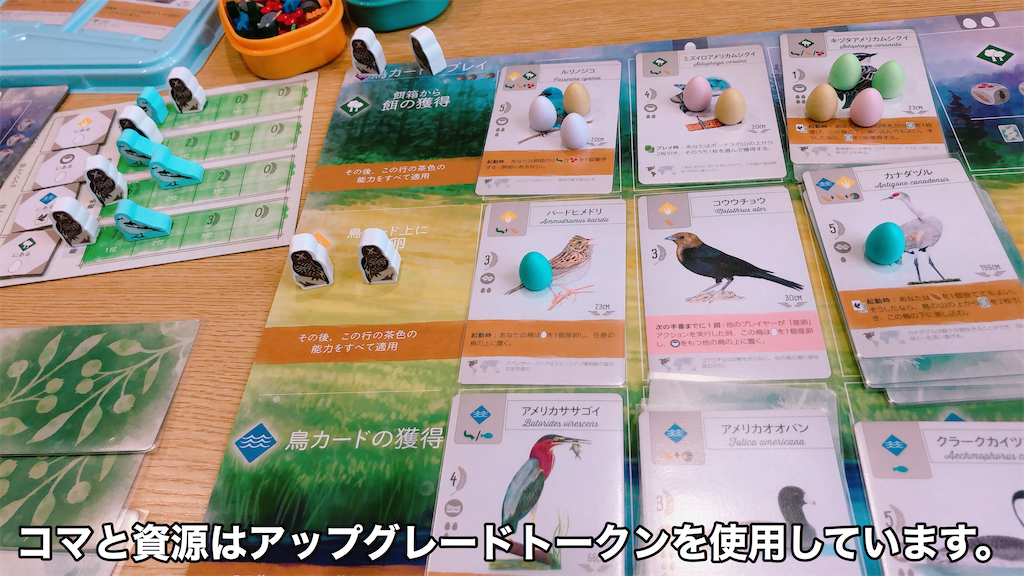 f:id:seitakanoppo:20200829150828p:image