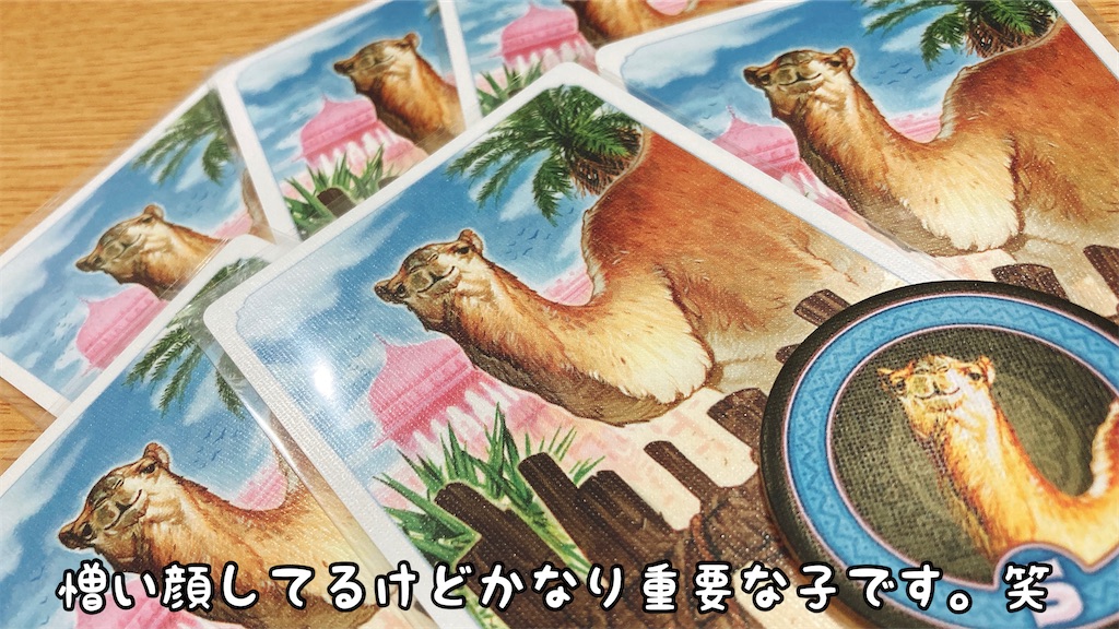 f:id:seitakanoppo:20201014103548j:image f:id:seitakanoppo:20201014103548j:image