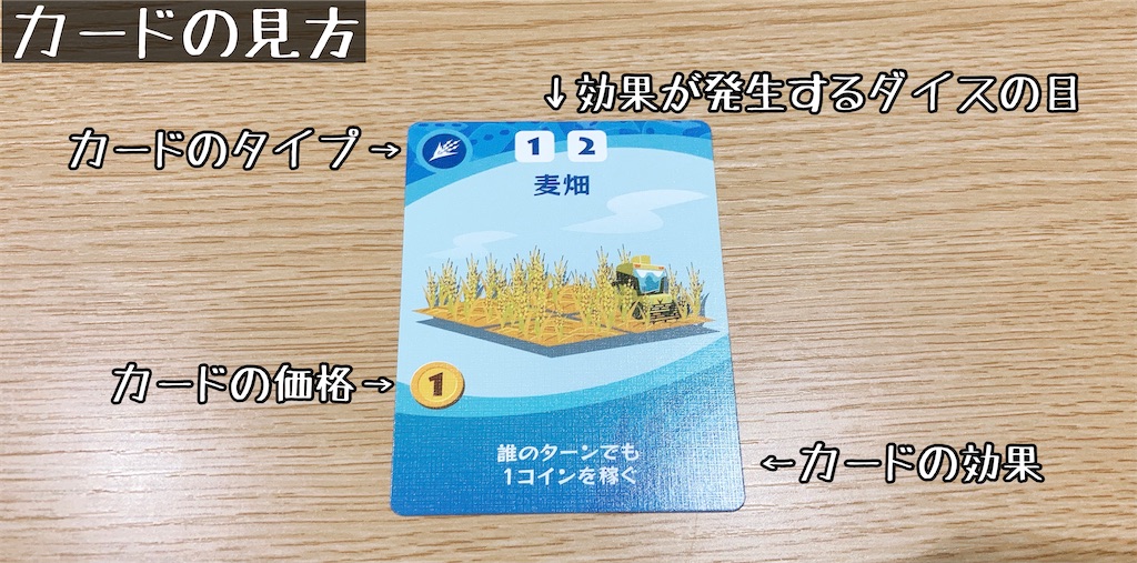 f:id:seitakanoppo:20201128231209j:image f:id:seitakanoppo:20201128231209j:image