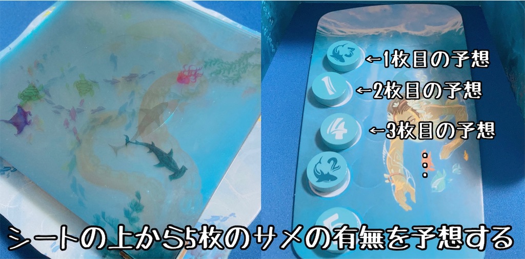 f:id:seitakanoppo:20210722122240j:image f:id:seitakanoppo:20210722122240j:image