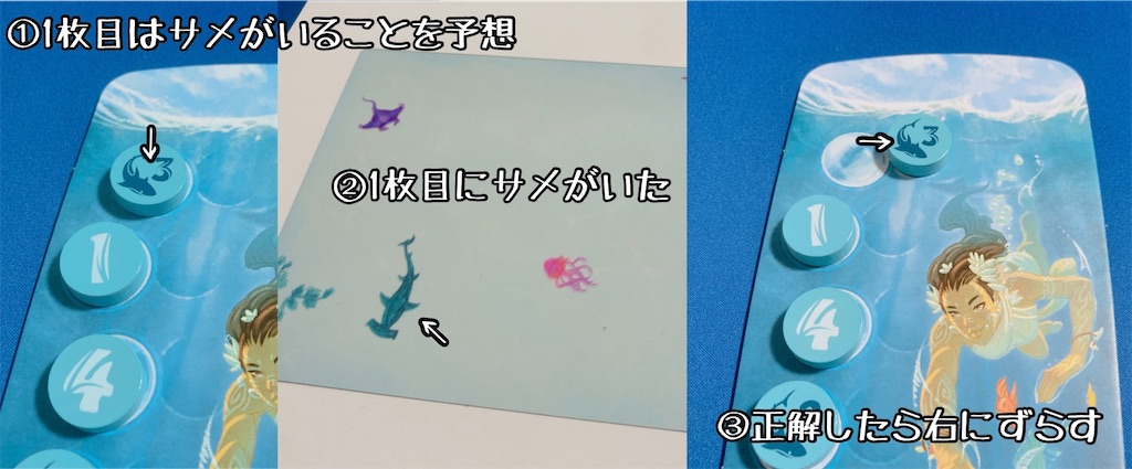 f:id:seitakanoppo:20210722123336j:image f:id:seitakanoppo:20210722123336j:image