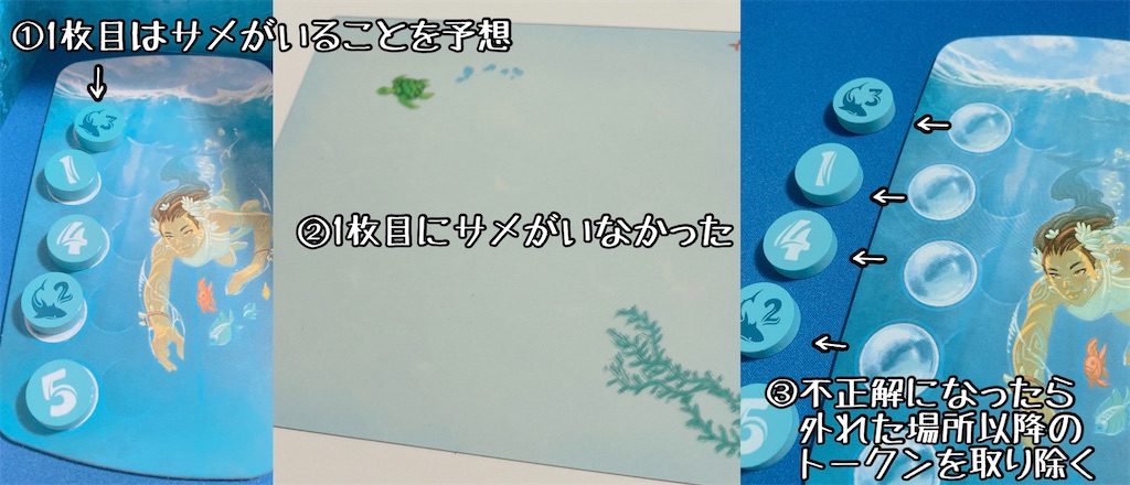 f:id:seitakanoppo:20210722141552j:image f:id:seitakanoppo:20210722141552j:image
