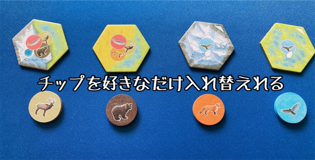 f:id:seitakanoppo:20220528083512j:image