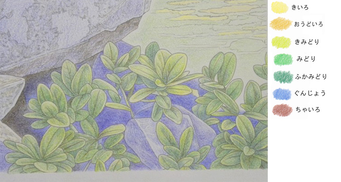 ２４色色鉛筆で大人の塗り絵に挑戦 第１回 色鉛筆の使い方 お絵かきブログ 絵を描いて見えたもの