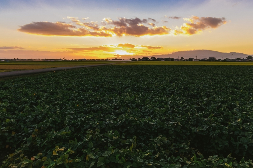 f:id:seiuchichi:20180510220307j:plain