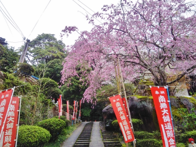 f:id:seiwa_yamaguchi:20170419195421j:plain f:id:seiwa_yamaguchi:20170419195421j:plain