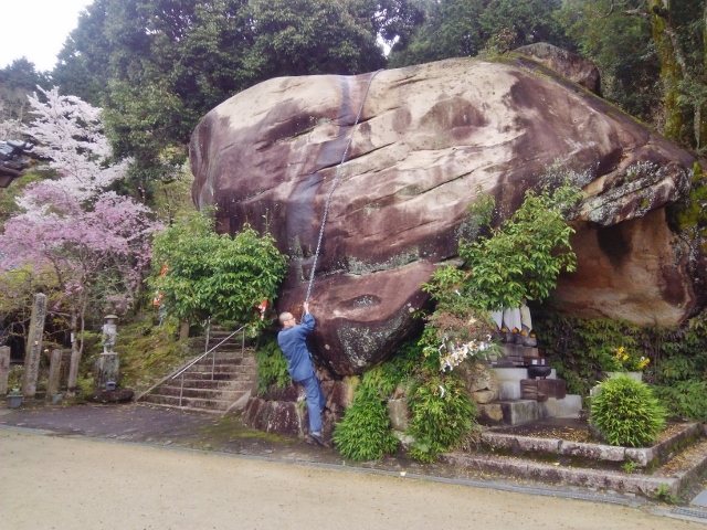 f:id:seiwa_yamaguchi:20170419201134j:plain f:id:seiwa_yamaguchi:20170419201134j:plain